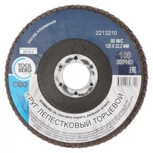 2213210 Круг лепестковый торцевой 125х22, Р100 (алюминий), T4P